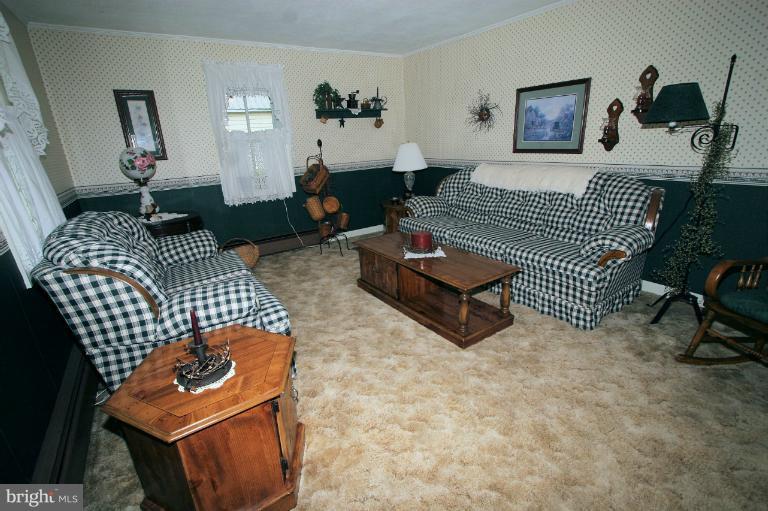 8100 Mapleville Road Boonsboro, MD 21713 - Photo 16 of 20 Living Room