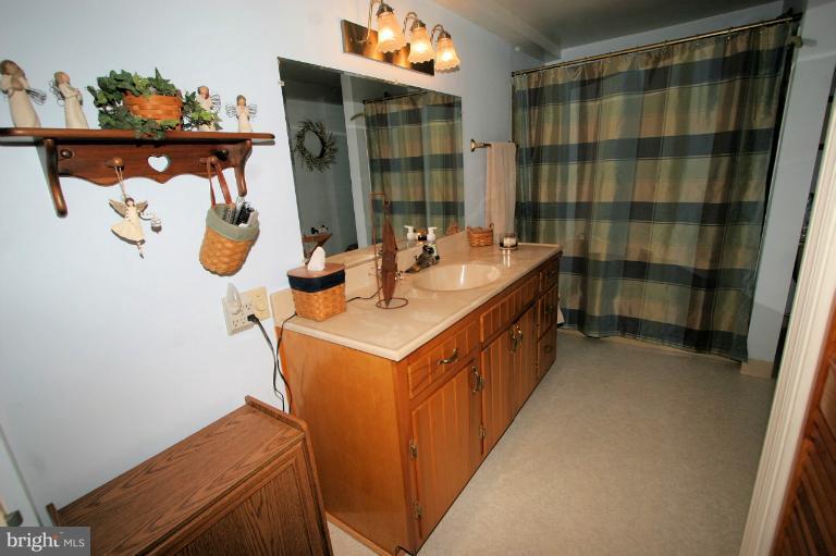 8100 Mapleville Road Boonsboro, MD 21713 - Photo 17 of 20 Bath