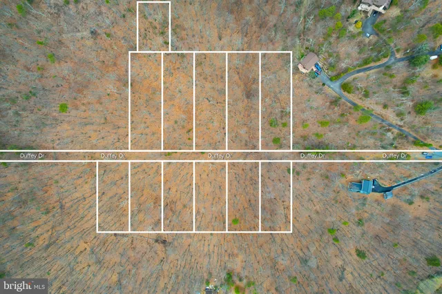 a close up of a plant with a plant