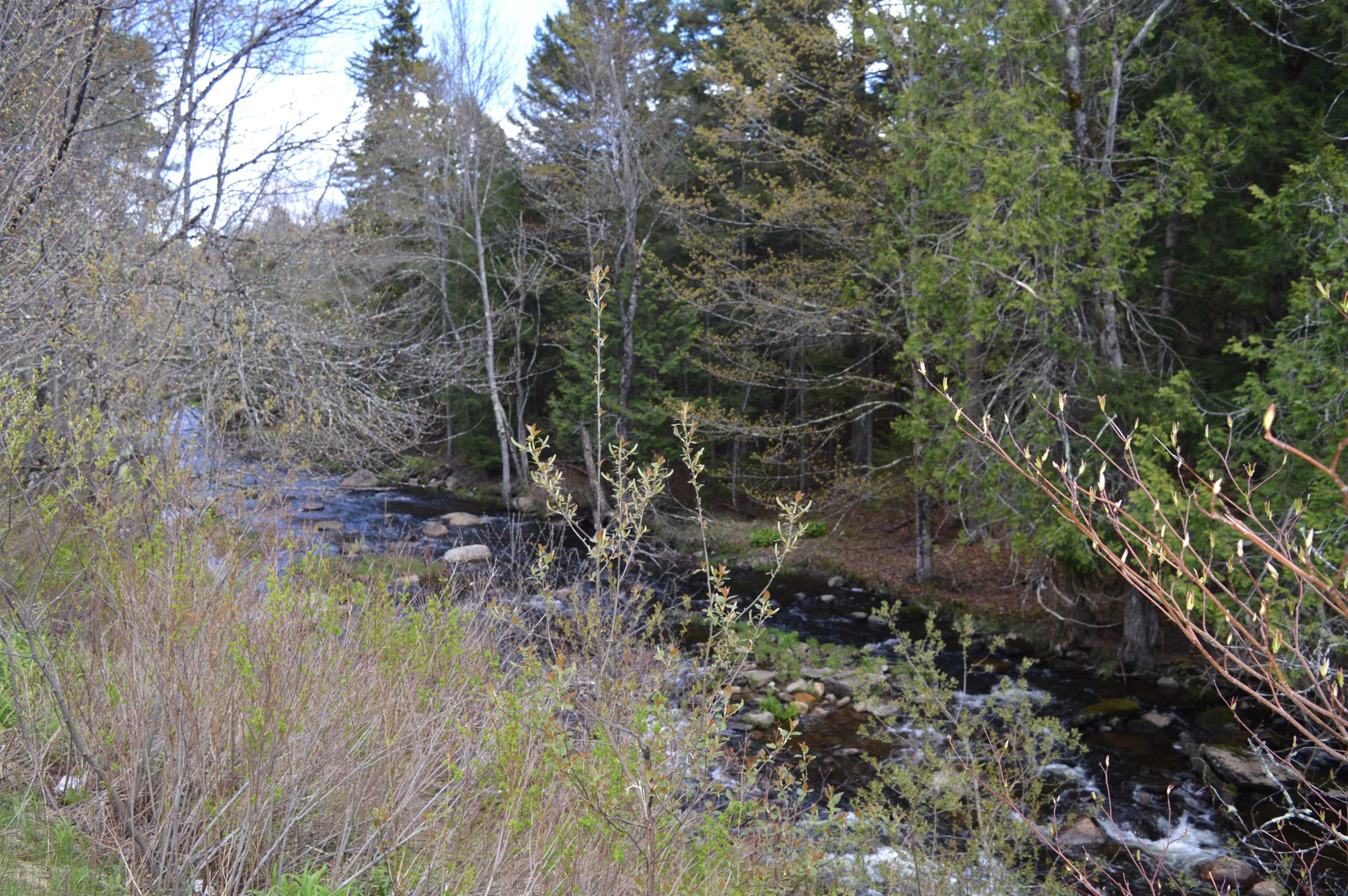 407 Cold River Road Acworth, NH 03607 - Photo 7 of 10