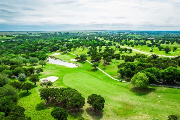 a view of a big yard with large trees