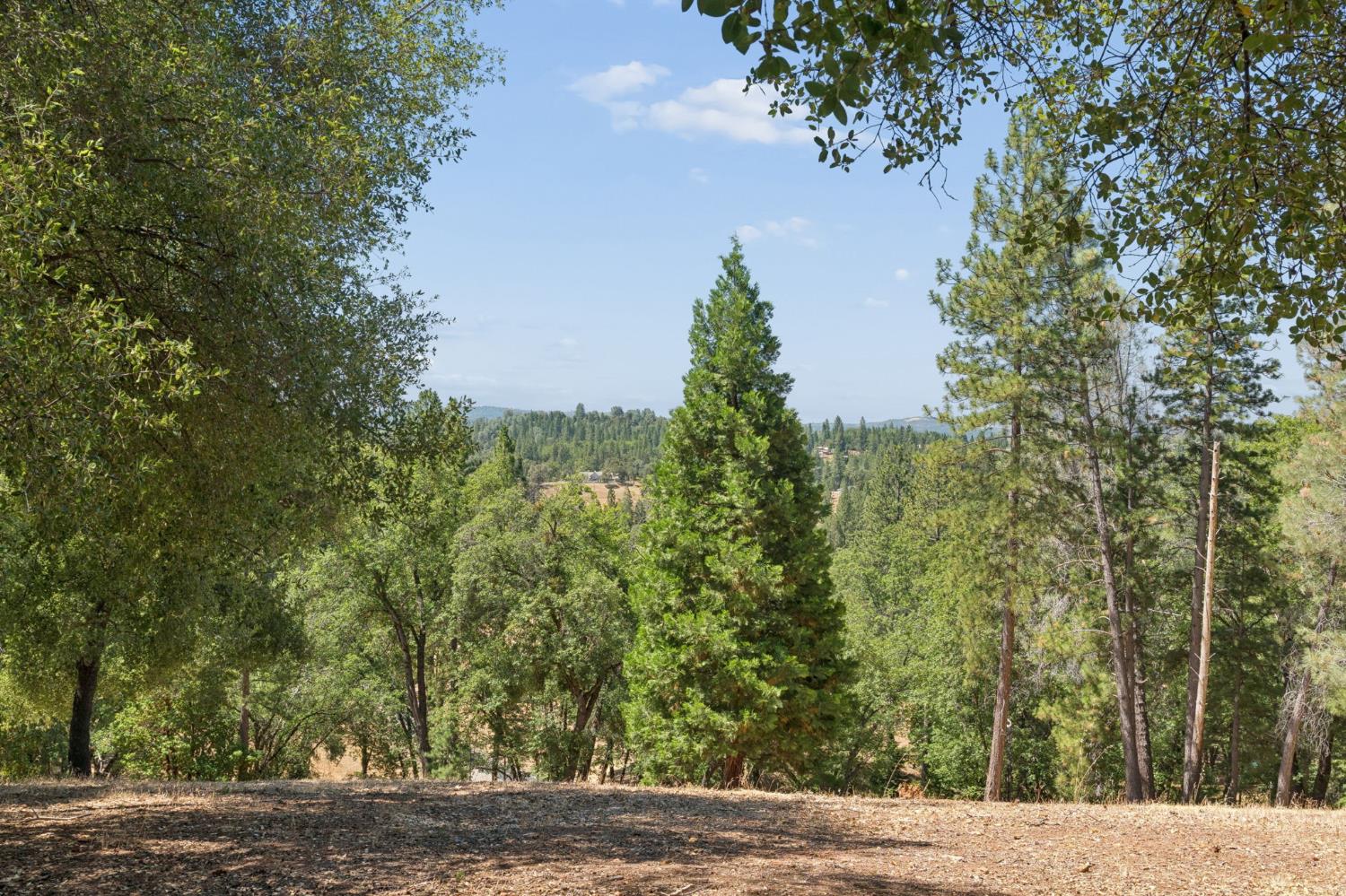 7670 Sly Park Road Placerville, CA 95667 - Photo 56 of 77