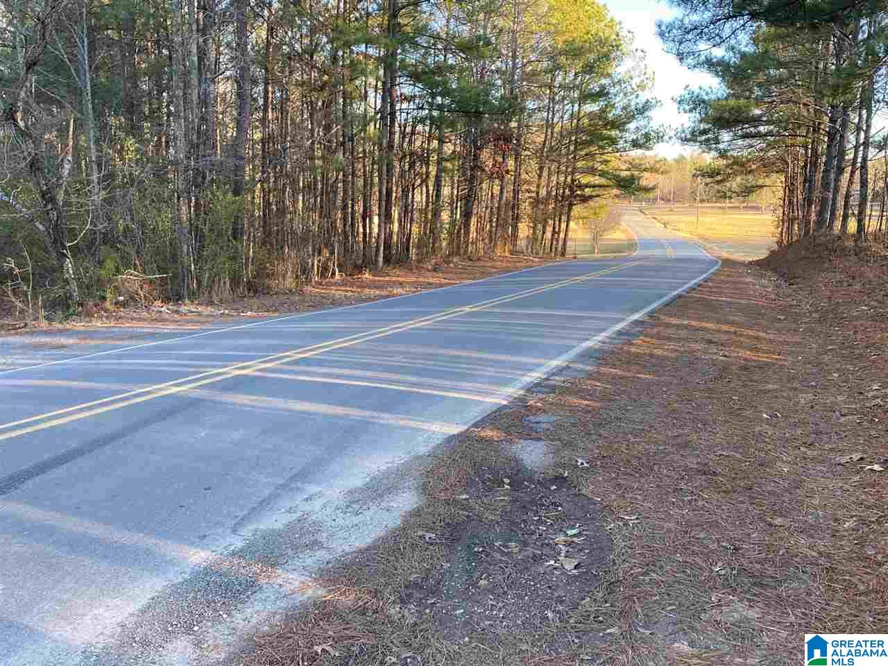 0 Florida Road, Unit 20 ACRES Pell City, AL 35125 - Photo 3 of 6 Gallery Image 3