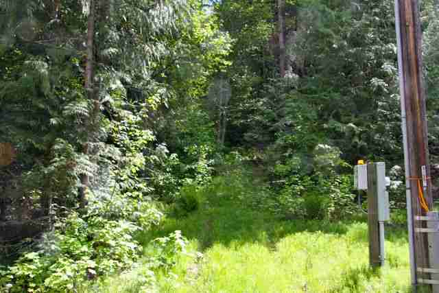 4120 Pebble Beach Road Loon Lake, WA 99148 - Photo 1 of 5 Gallery Image 1