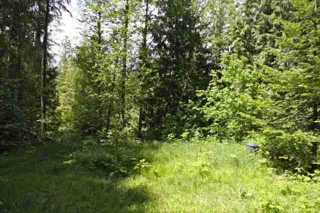 4120 Pebble Beach Road Loon Lake, WA 99148 - Photo 4 of 5 Gallery Image 4