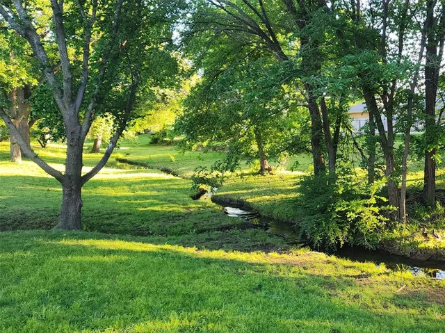 a view of a garden with a tree
