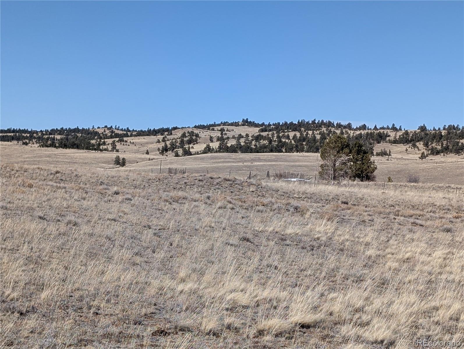 Black Bear Road Hartsel, CO 80449 - Photo 8 of 32 a view of ocean