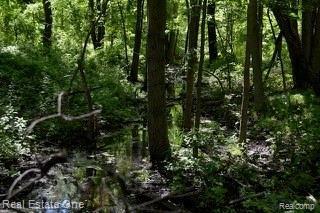 4249 Curtis Road Leonard, MI 48367 - Photo 5 of 7