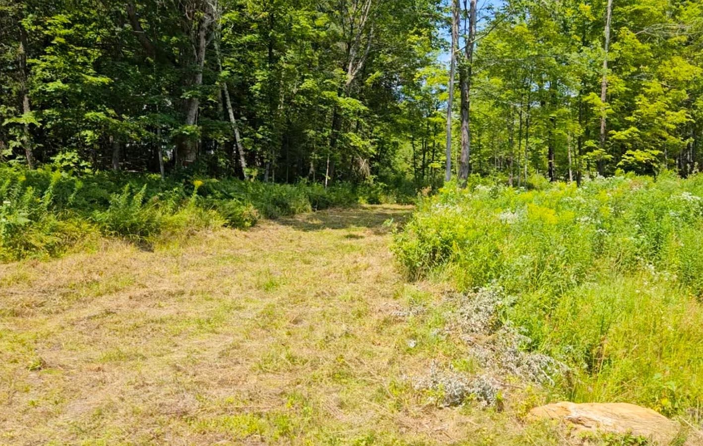 337 Lakeview Lane Elmore, VT 05680 - Photo 13 of 16