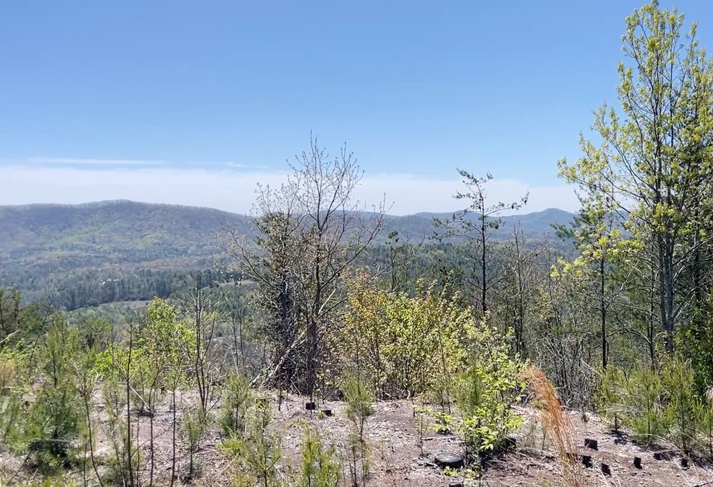 0 Sunrise Mountain Road Murphy, NC 28906 - Photo 2 of 8