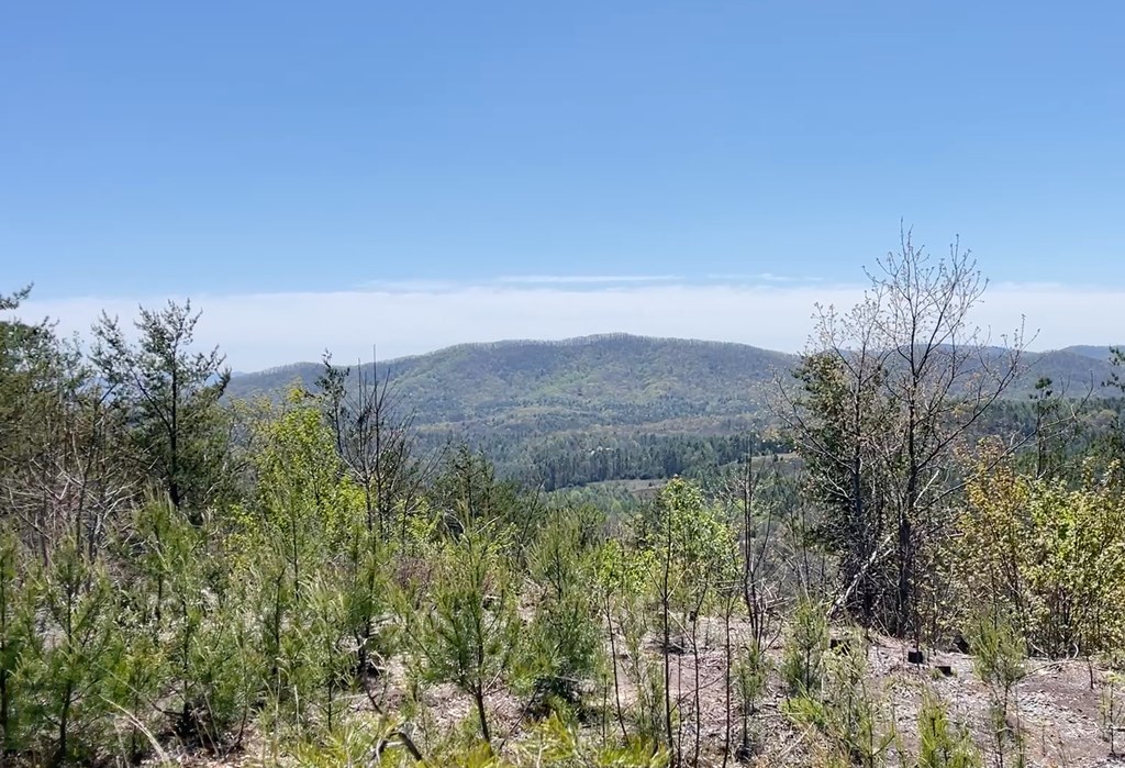 0 Sunrise Mountain Road Murphy, NC 28906 - Photo 3 of 8