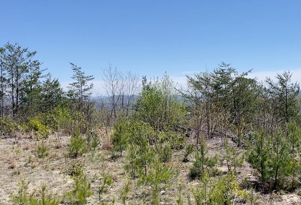 0 Sunrise Mountain Road Murphy, NC 28906 - Photo 4 of 8