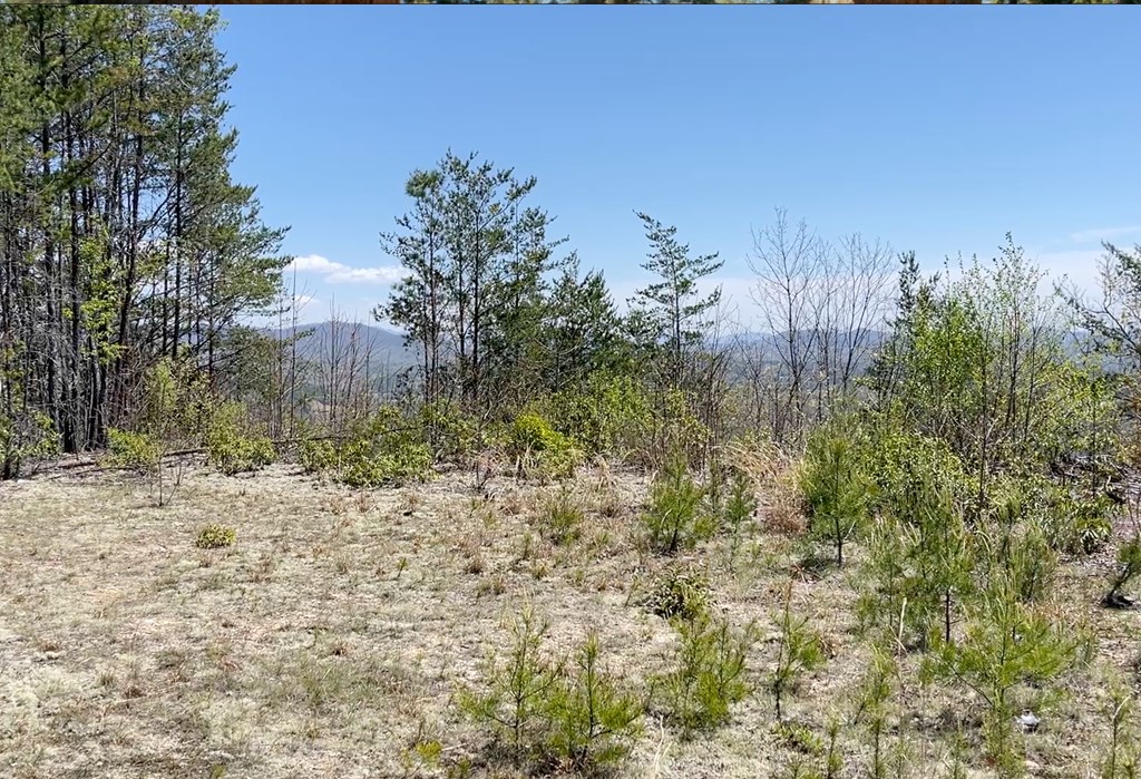 0 Sunrise Mountain Road Murphy, NC 28906 - Photo 5 of 8