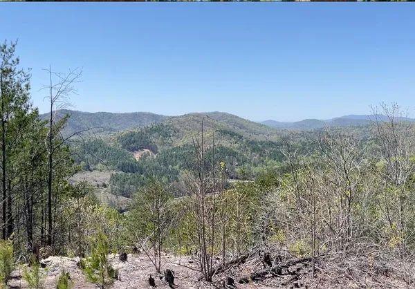a view of a mountain range with trees in the background