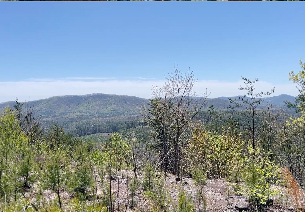 0 Sunrise Mountain Road Murphy, NC 28906 - Photo 7 of 8