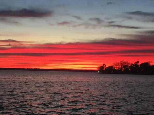 $8,500 | Lot 8 Charolais, Onalaska, TX 77360