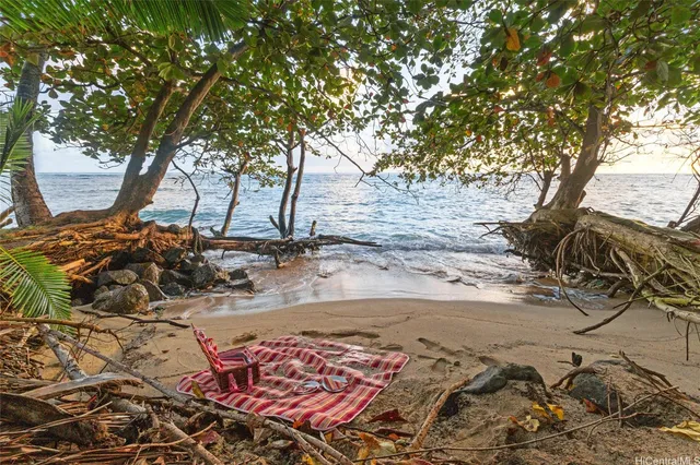 a view of a backyard of the house