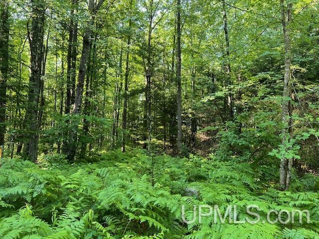 T-wi Big Bear Road Pembine, WI 54156 - Photo 5 of 7