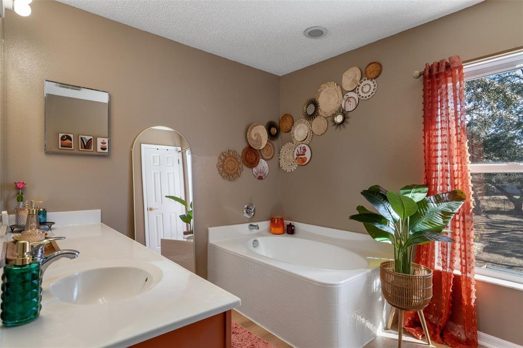 11258 Lomita Wren Road Weeki Wachee, FL 34614 - Photo 27 of 44 a bathroom with a sink a mirror and a potted plant