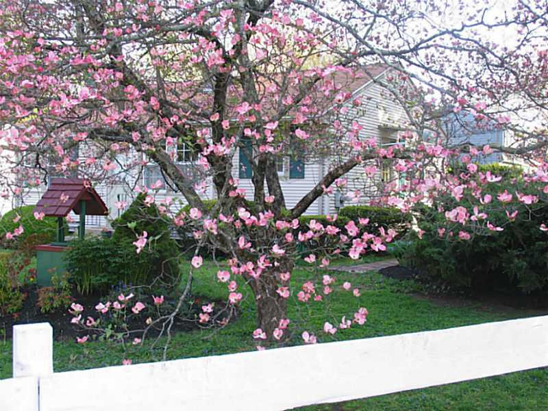 144 Winterberry Road Narragansett, RI 02874 - Photo 3 of 21 Exterior Front. Springtime