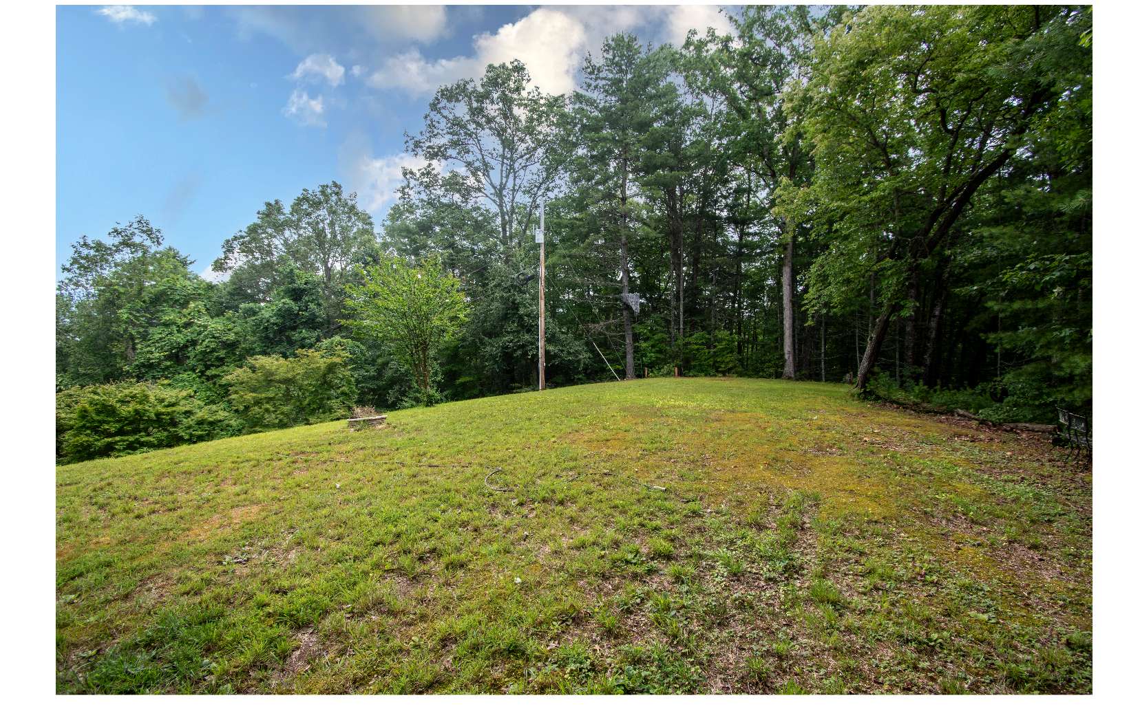 196 Wine Branch Road Murphy, NC 28906 - Photo 2 of 22 Additional View