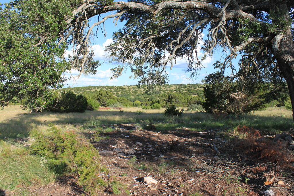 3 Dominion Road Sonora, TX 76950 - Photo 10 of 17 Gallery Image 10