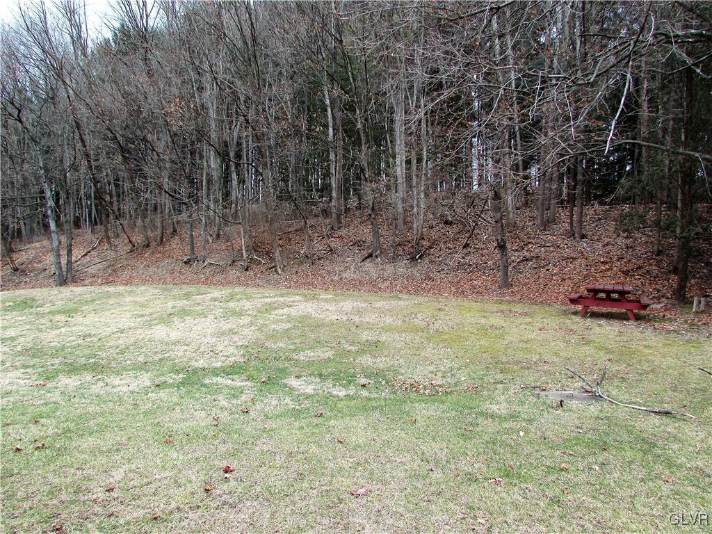 648 Old Mill Road Lehighton, PA 18235 - Photo 43 of 48 a backyard of a house with lots of green space