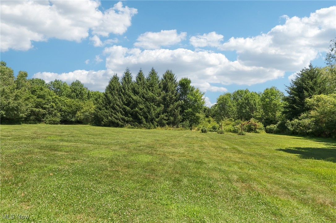 19075 Ridgeview Trail Chagrin Falls, OH 44023 - Photo 38 of 42 Amazing 3-acre lot
