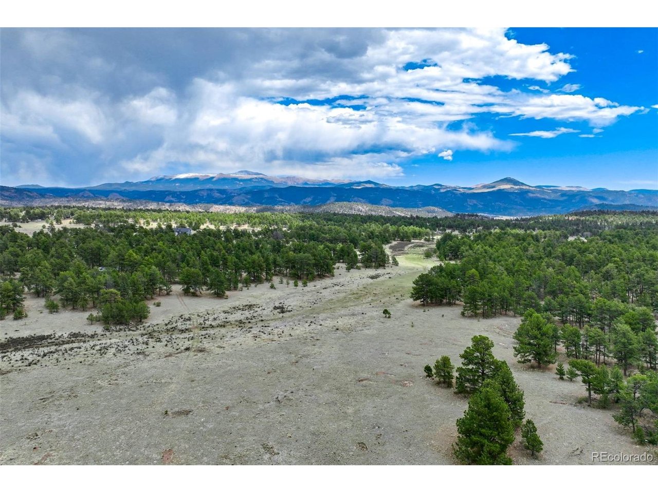 103 Doe Valley Road Guffey, CO 80820 - Photo 16 of 46