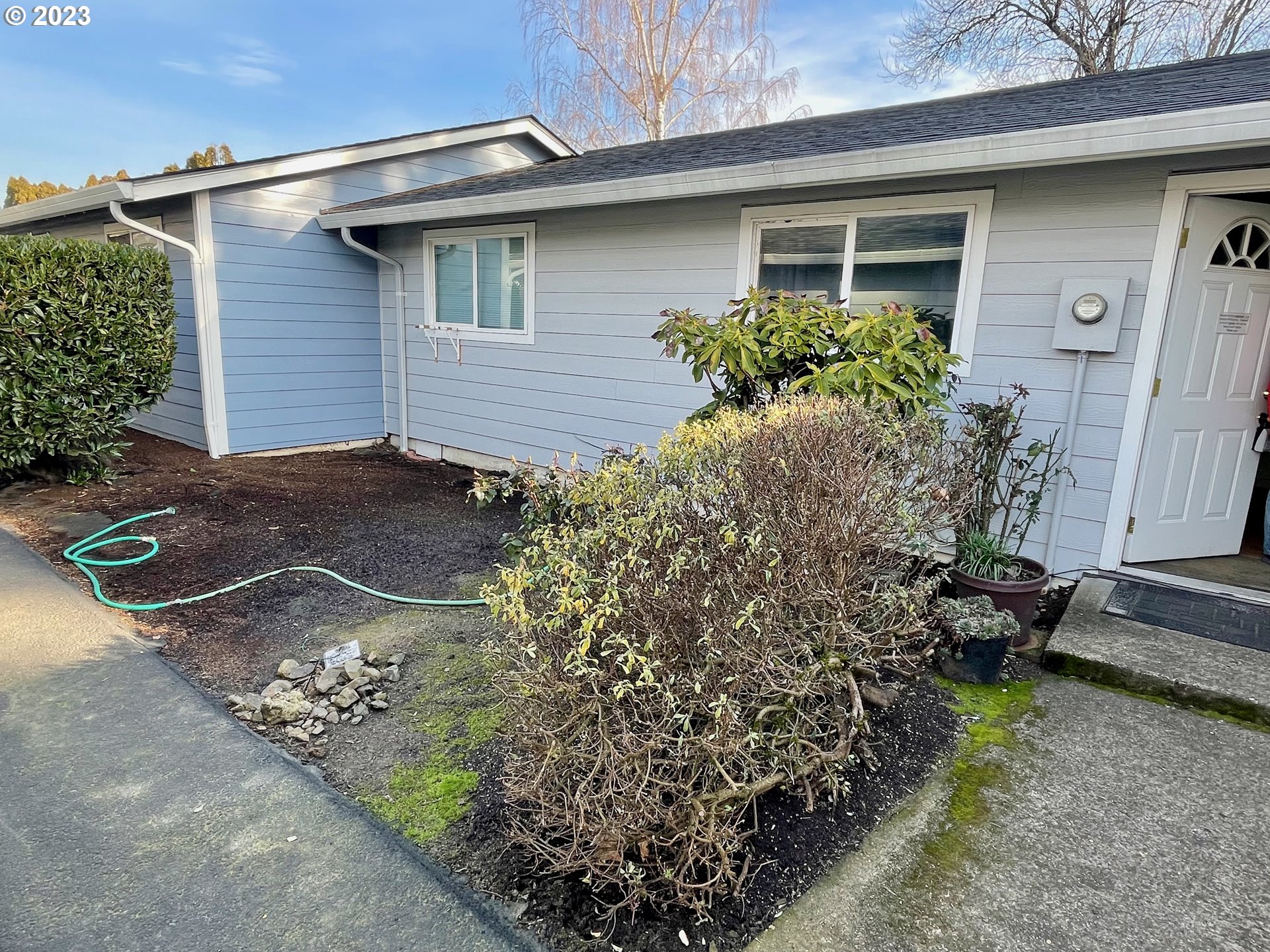 Front Yard