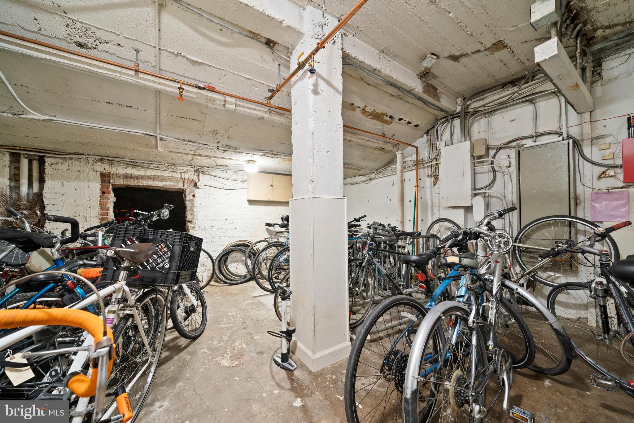 2410 20th Street Northwest, Unit 9 Washington, DC 20009 - Photo 17 of 20 Bike Storage