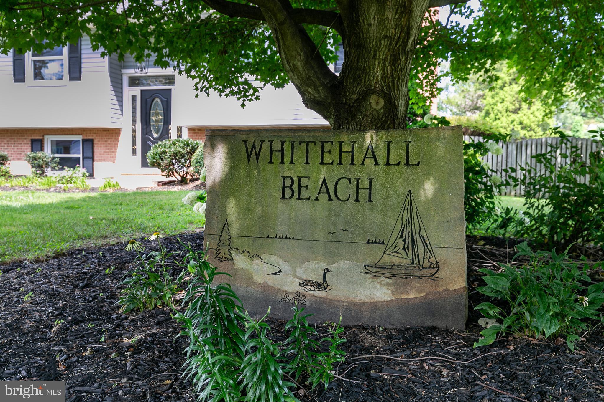 742 Whitehall Beach Road Annapolis, MD 21409 - Photo 84 of 124