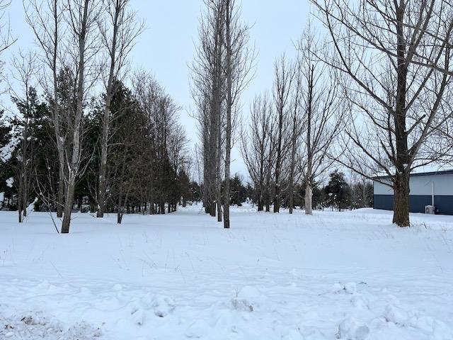 Lot 7 Lindstrom Road Detroit Lakes, MN 56501 - Photo 1 of 1 Gallery Image 1