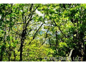 9999 Chapel Road Black Mountain, NC 28711 - Photo 2 of 5