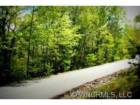 9999 Chapel Road Black Mountain, NC 28711 - Photo 3 of 5