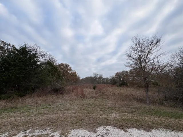 $35,000 | Tbd James Craft Road Tbd James Craft Road, Somerville, TX 77879