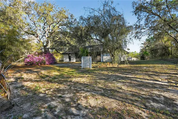 a view of outdoor space with trees