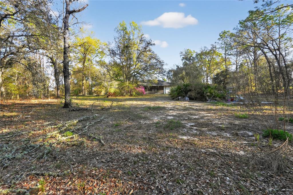 1060 East Rockefeller Lane Hernando, FL 34442 - Photo 32 of 35