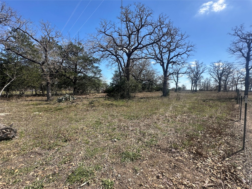 10 West Frontage Road Flatonia, TX 78941 - Photo 11 of 12 a view of a lake with a tree