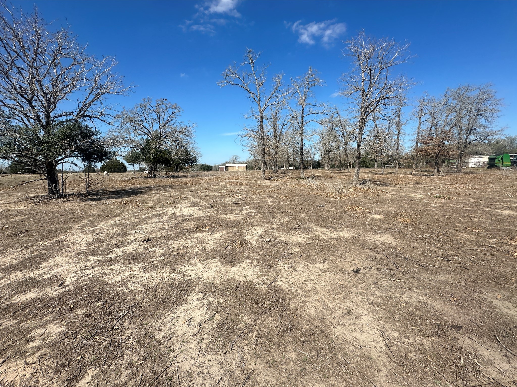 10 West Frontage Road Flatonia, TX 78941 - Photo 6 of 12 a view of a yard with a tree