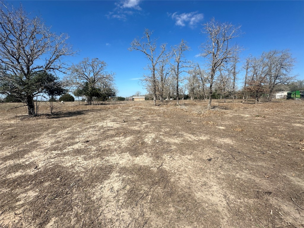 10 West Frontage Road Flatonia, TX 78941 - Photo 6 of 12 a view of a yard with a tree
