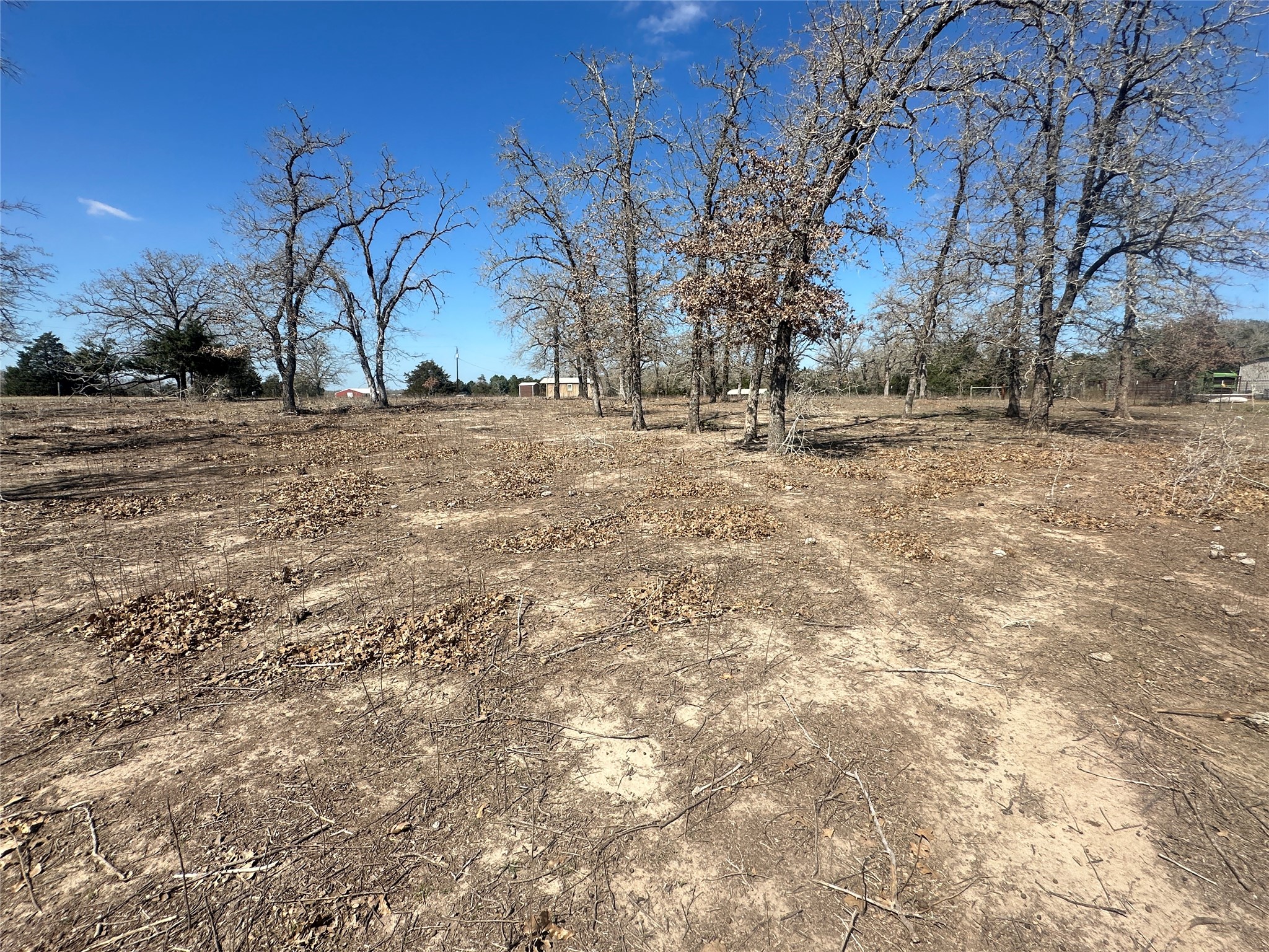 10 West Frontage Road Flatonia, TX 78941 - Photo 7 of 12 a view of dirt yard with trees