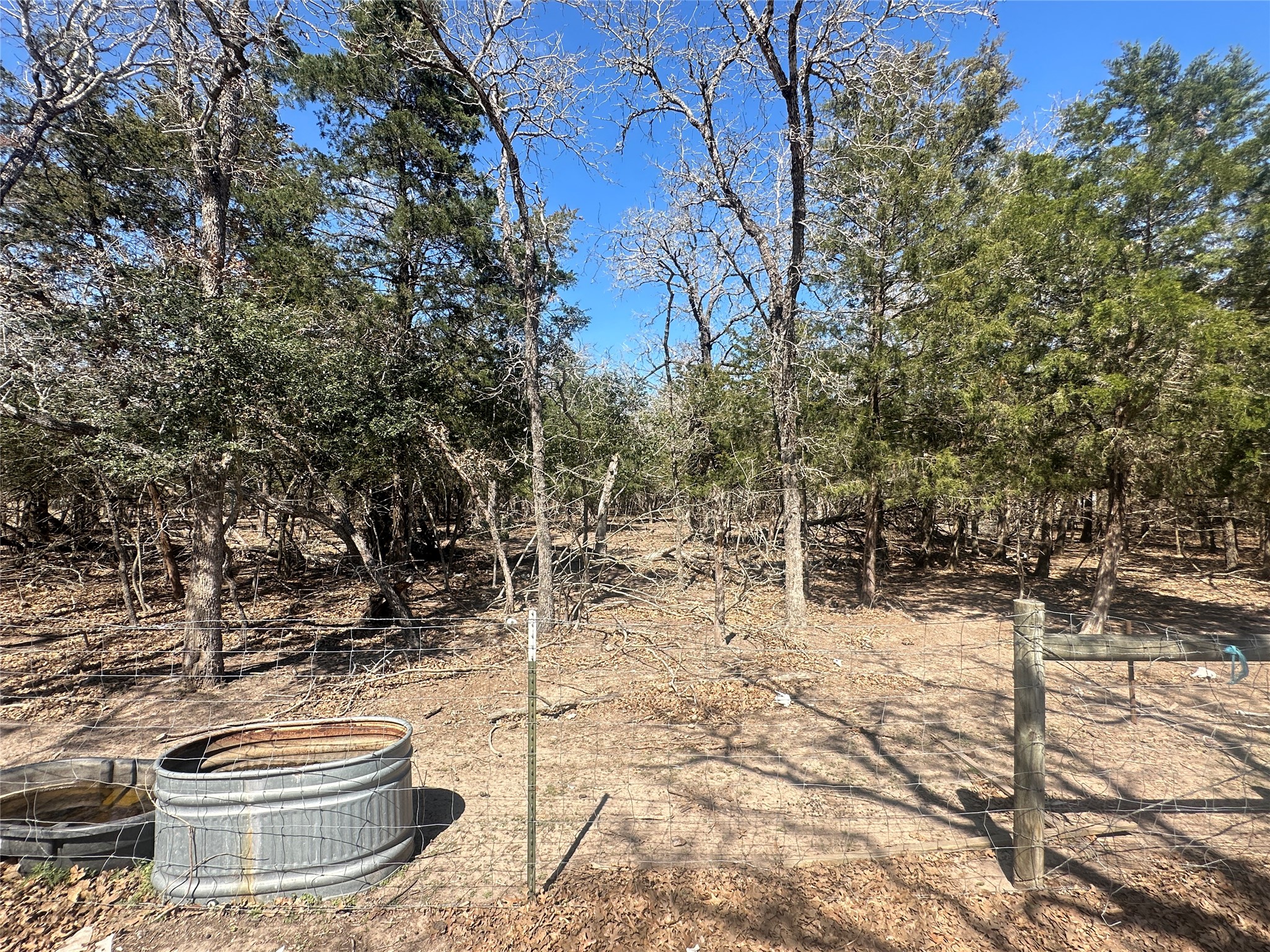 10 West Frontage Road Flatonia, TX 78941 - Photo 8 of 12 a view of a yard with a tree