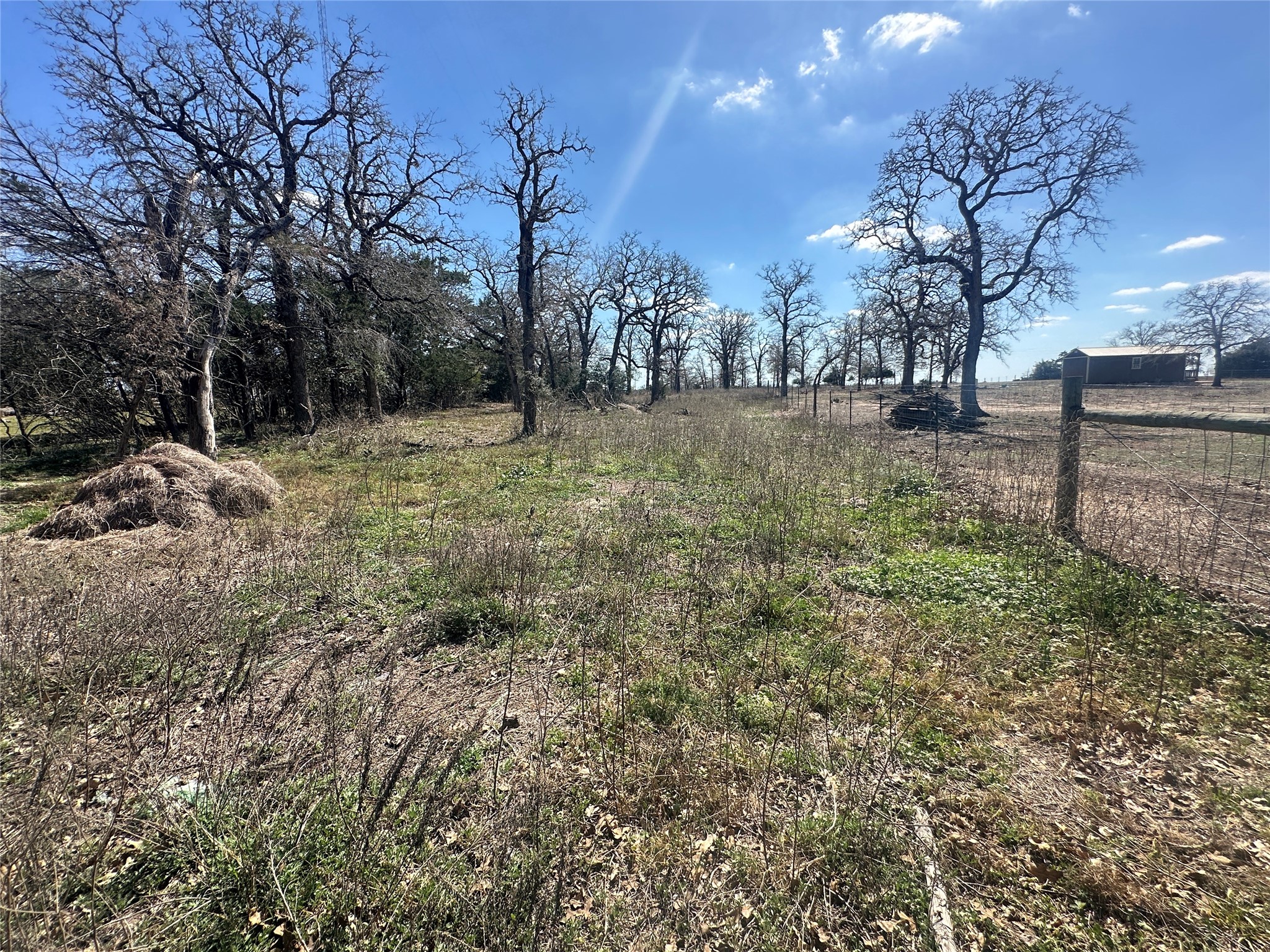 10 West Frontage Road Flatonia, TX 78941 - Photo 9 of 12 a view of a yard