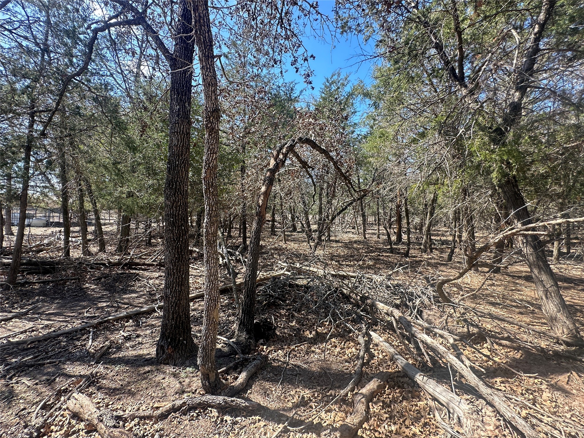 10 West Frontage Road Flatonia, TX 78941 - Photo 10 of 12 a view of outdoor space