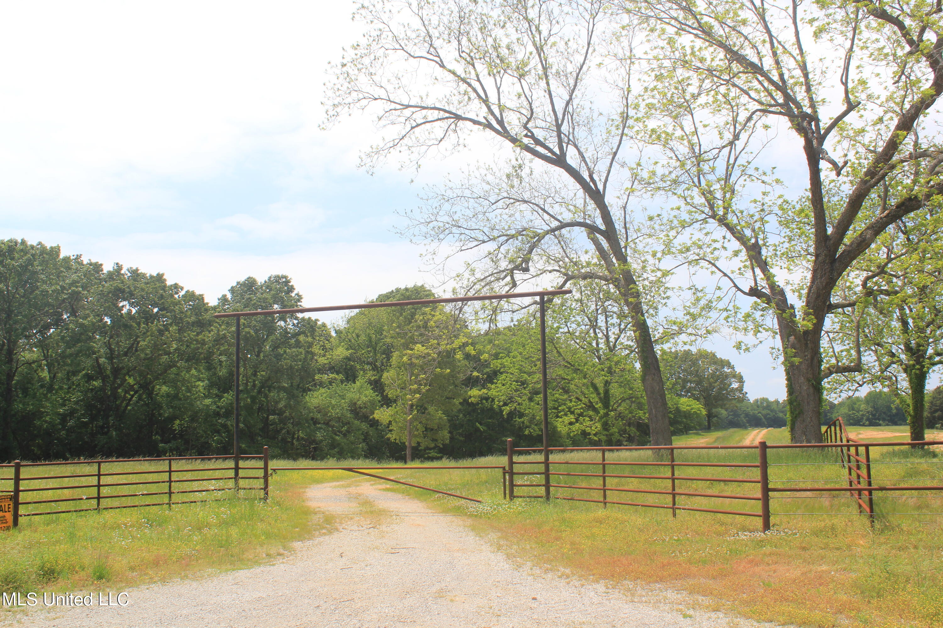 1004 Taska Road Red Banks, MS 38661 - Photo 1 of 15 IMG_8331