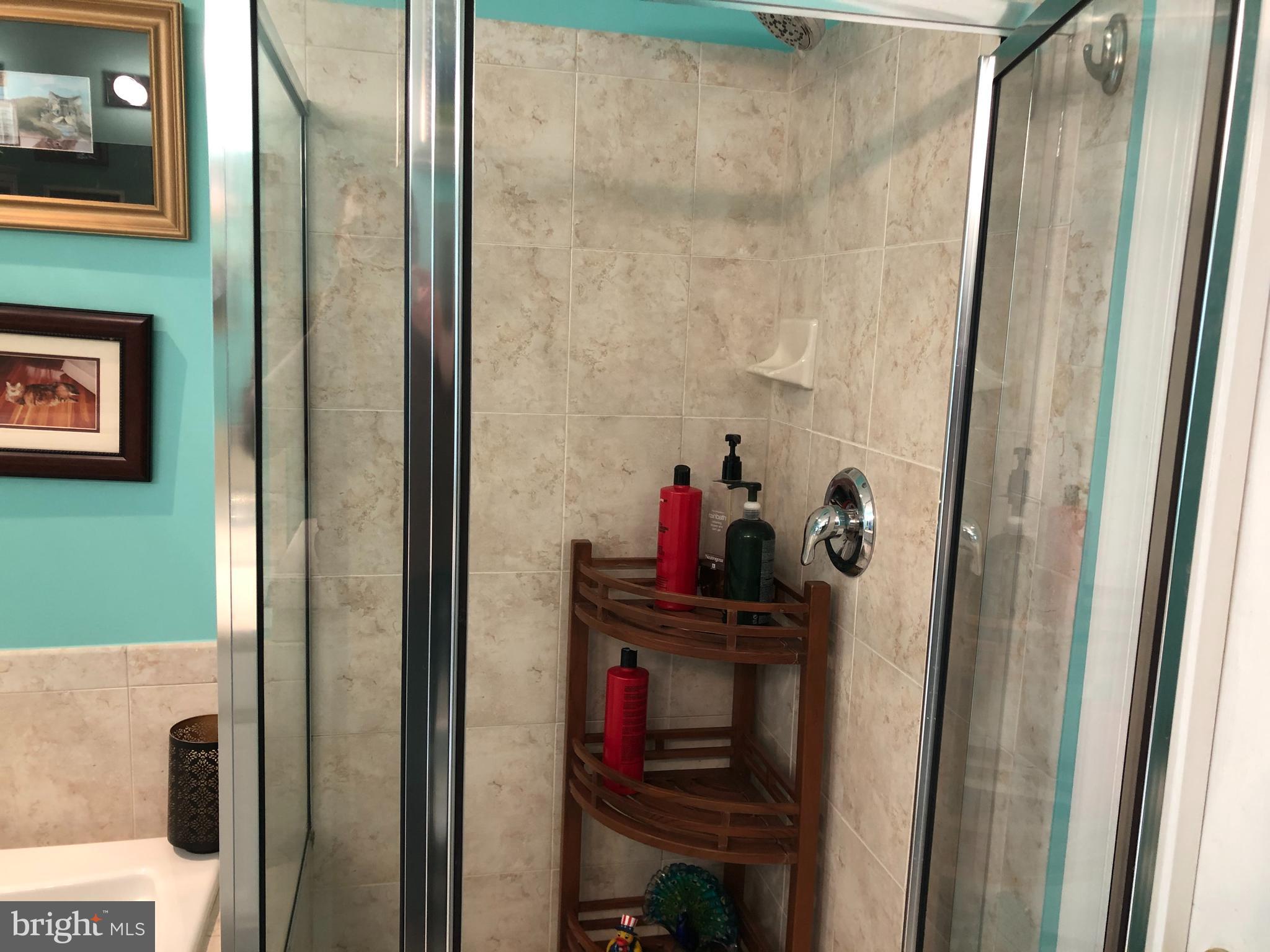 4 Jester Street Bear, DE 19701 - Photo 18 of 32 Shower master bath