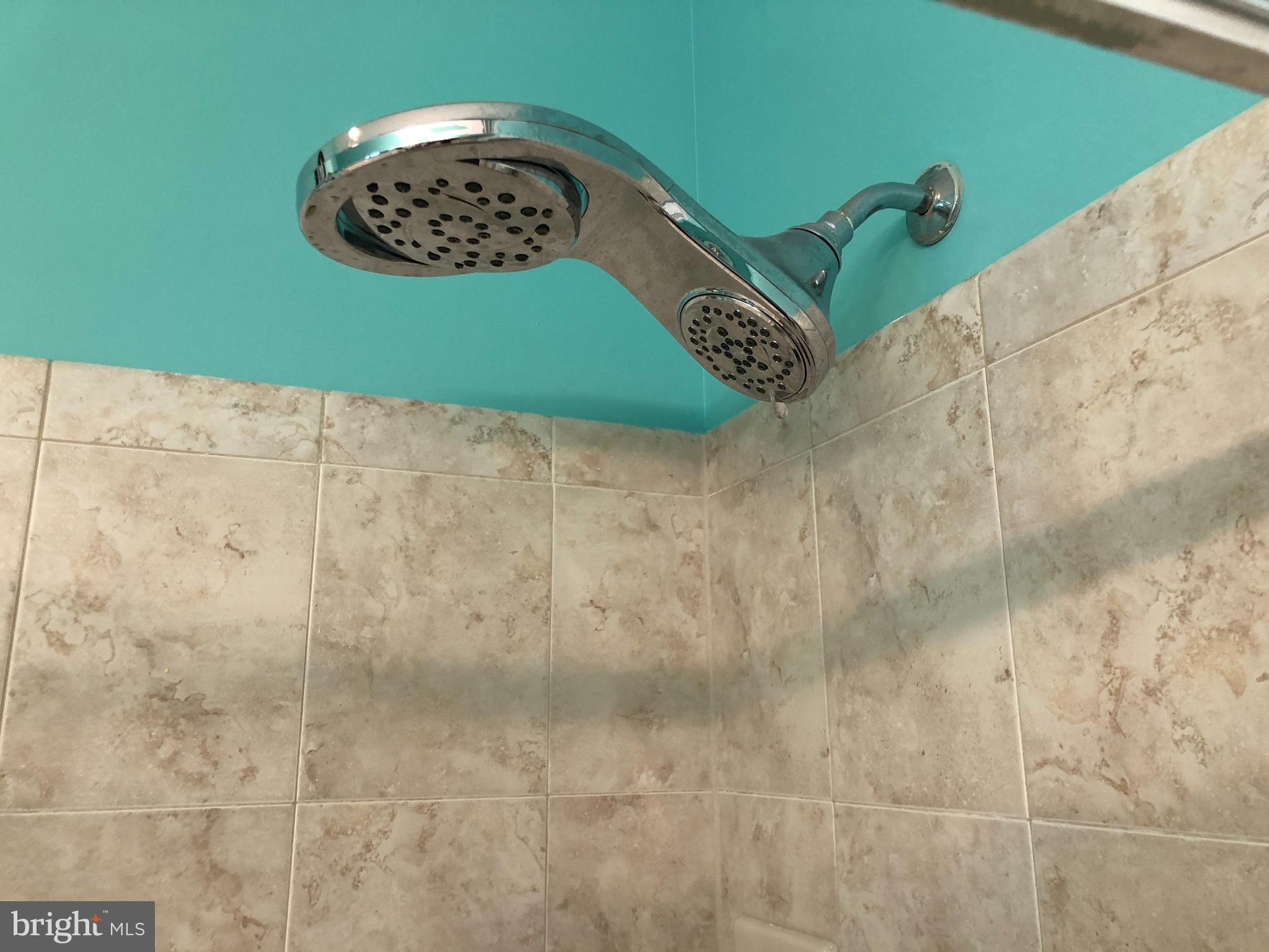 4 Jester Street Bear, DE 19701 - Photo 19 of 32 Shower master bath