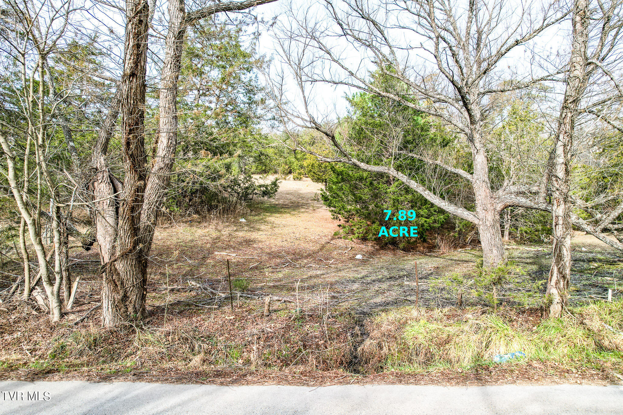 0 Shakerag Road Greeneville, TN 37743 - Photo 1 of 17 DJI_0826-Edit
