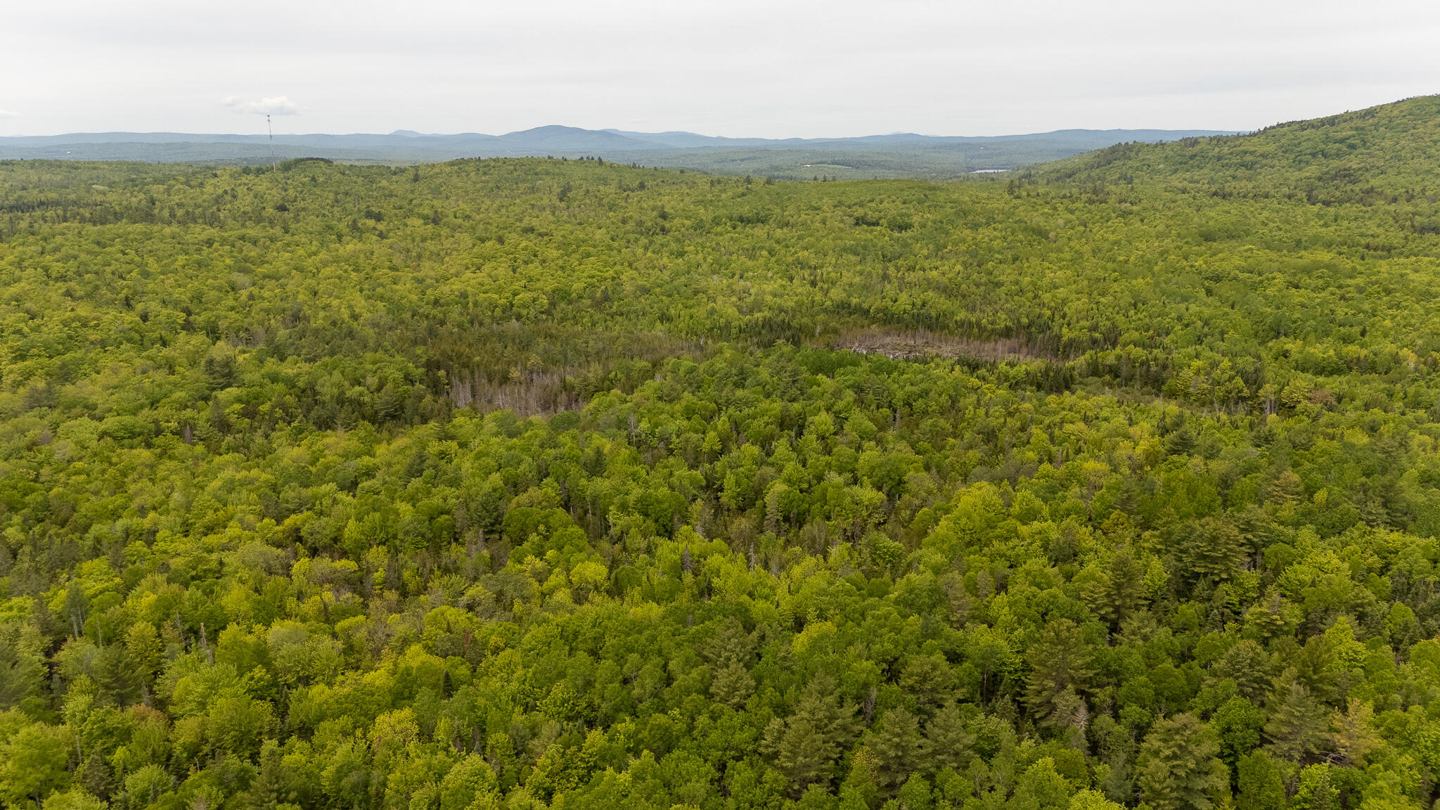 M5-l28 Cemetery Road Guilford, ME 04443 - Photo 51 of 58 DJI_20260602112026_0479_D